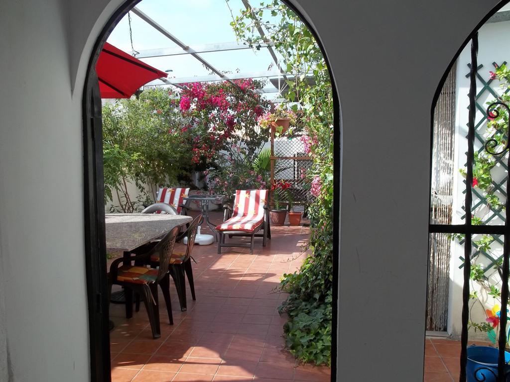 Madamme Curie Apartment Torrevieja Buitenkant foto
