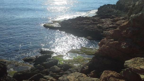 Madamme Curie Apartment Torrevieja Buitenkant foto